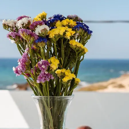 Celestial Seaview Apartments- Ariadne Lejlighed *